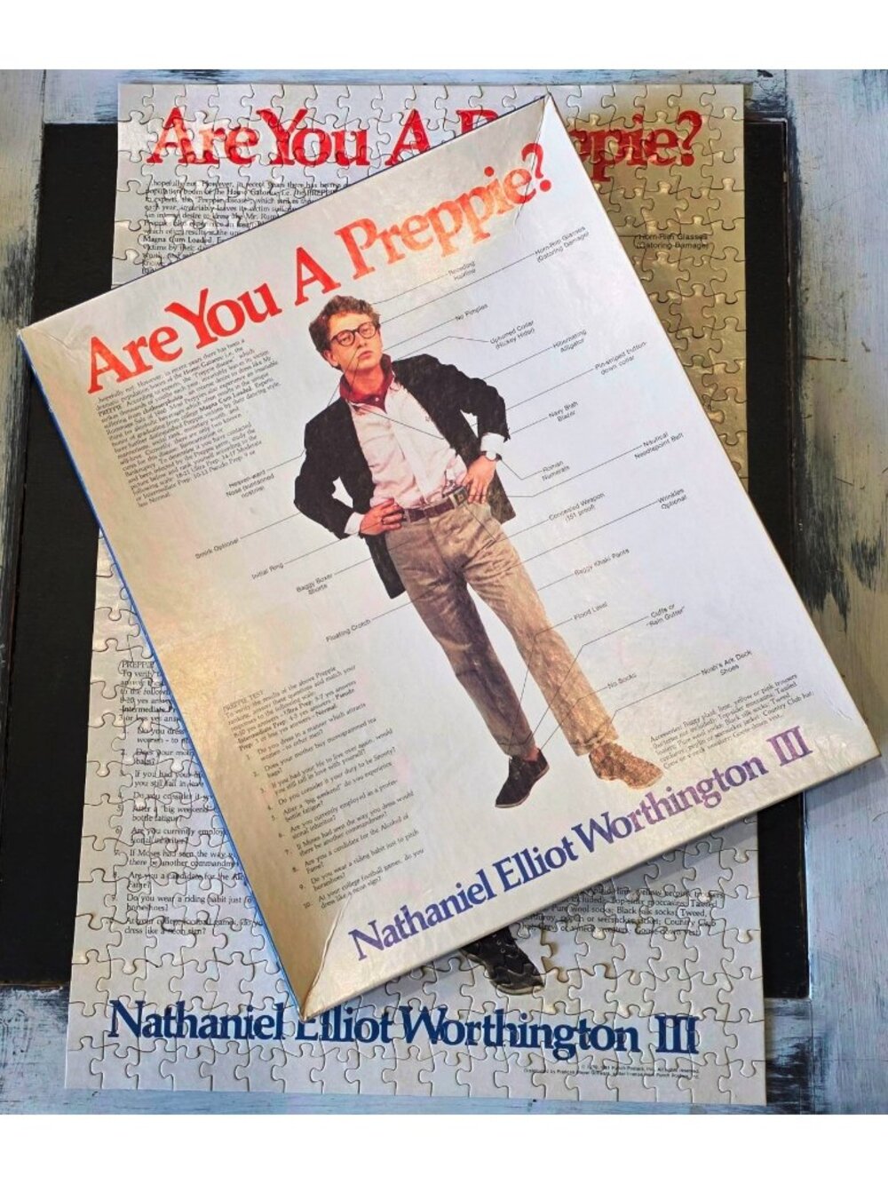 ARE YOU A PREPPIE? Jigsaw Puzzle 500 pc Punch Poster Frances Meyer 1981 COMPLETE